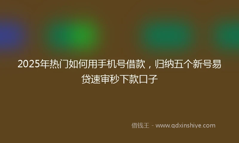 2025年热门如何用手机号借款，归纳五个新号易贷速审秒下款口子