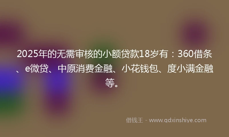 2025年的无需审核的小额贷款18岁有：360借条、e微贷、中原消费金融、小花钱包、度小满金融等。