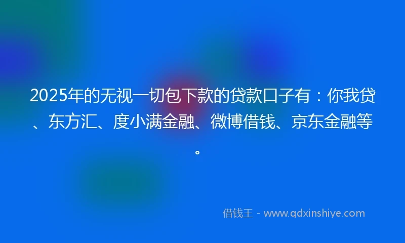 2025年的无视一切包下款的贷款口子有：你我贷、东方汇、度小满金融、微博借钱、京东金融等。
