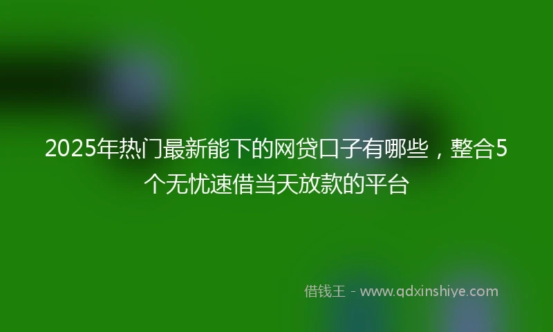 2025年热门最新能下的网贷口子有哪些，整合5个无忧速借当天放款的平台