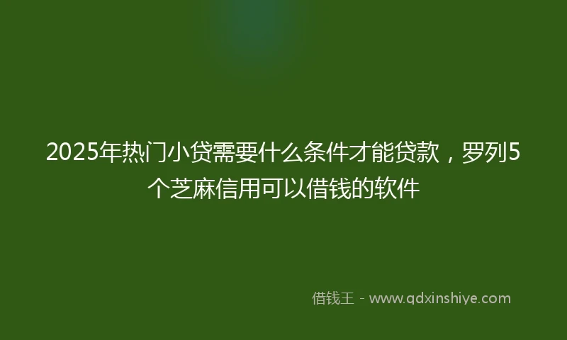 2025年热门小贷需要什么条件才能贷款，罗列5个芝麻信用可以借钱的软件