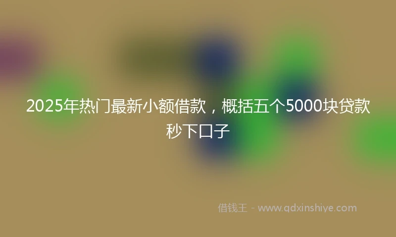 2025年热门最新小额借款，概括五个5000块贷款秒下口子