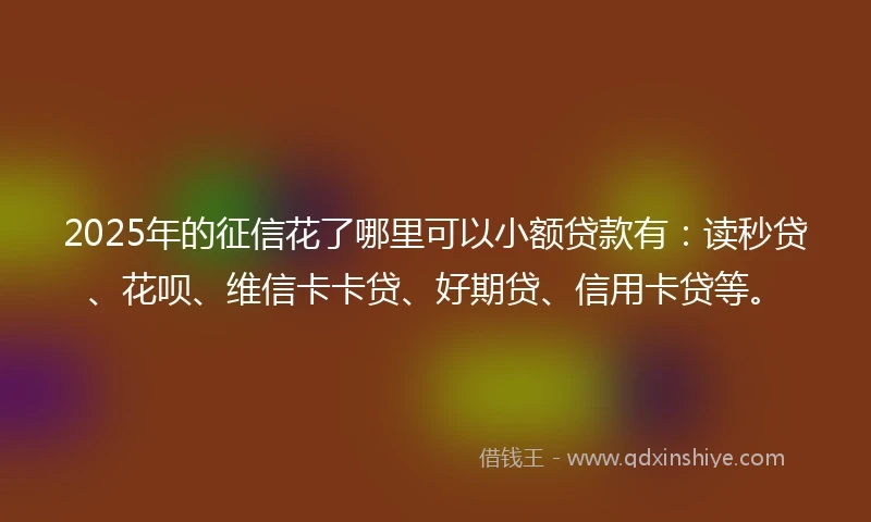2025年的征信花了哪里可以小额贷款有：读秒贷、花呗、维信卡卡贷、好期贷、信用卡贷等。