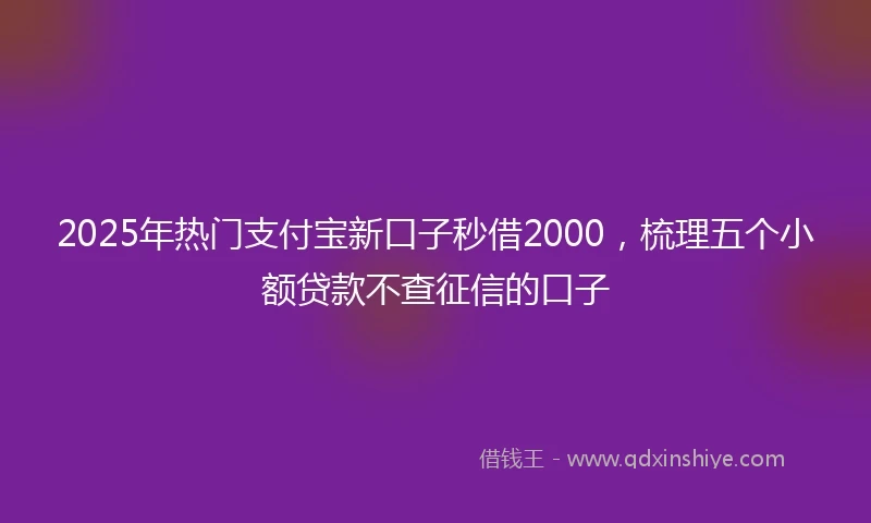 2025年热门支付宝新口子秒借2000，梳理五个小额贷款不查征信的口子