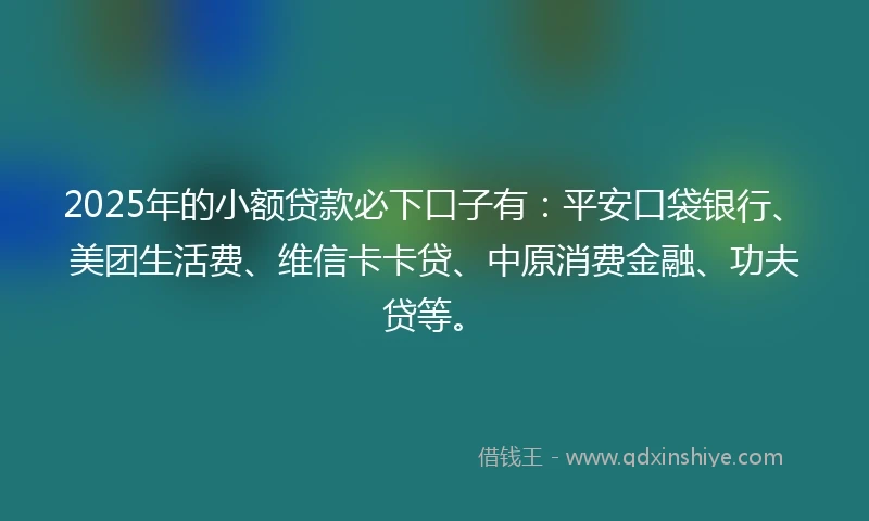 2025年的小额贷款必下口子有：平安口袋银行、美团生活费、维信卡卡贷、中原消费金融、功夫贷等。