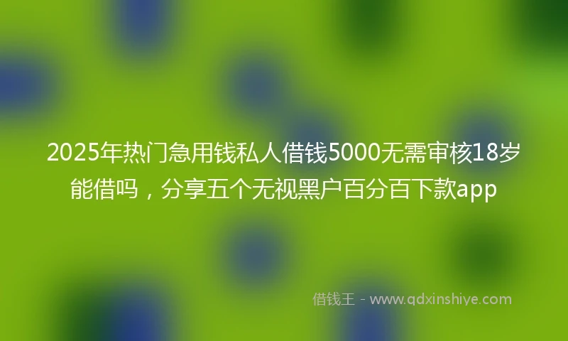 2025年热门急用钱私人借钱5000无需审核18岁能借吗，分享五个无视黑户百分百下款app
