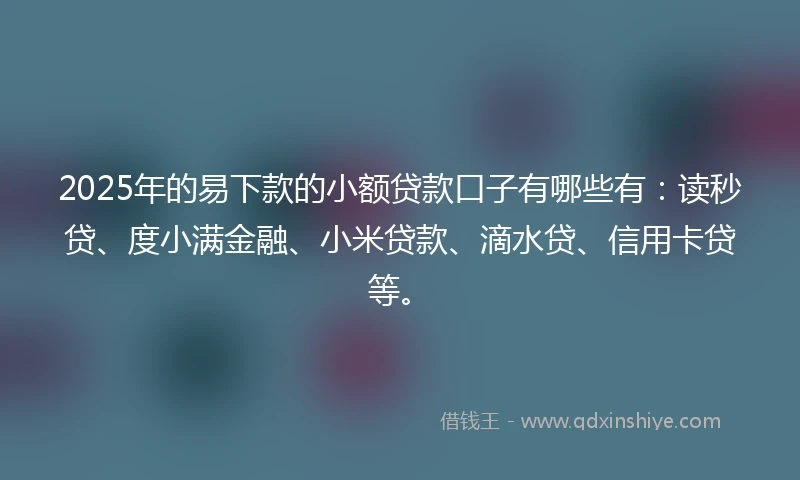 2025年的易下款的小额贷款口子有哪些有：读秒贷、度小满金融、小米贷款、滴水贷、信用卡贷等。