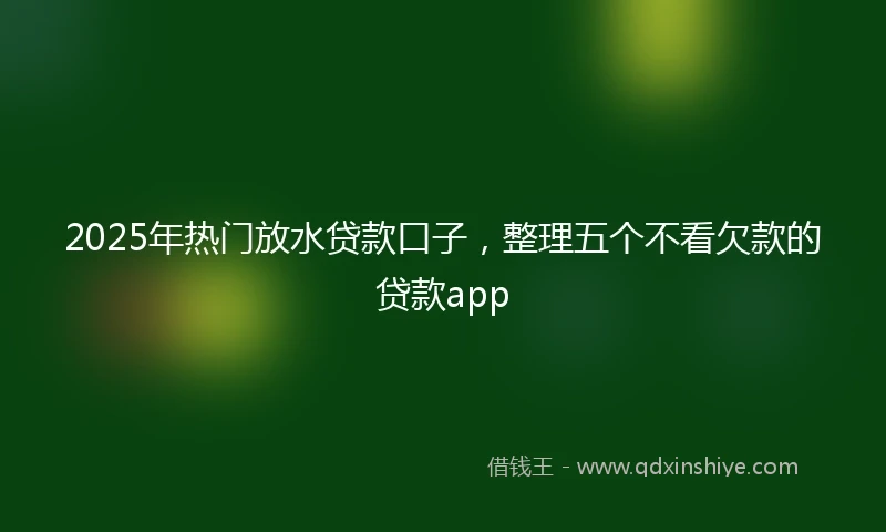2025年热门放水贷款口子，整理五个不看欠款的贷款app