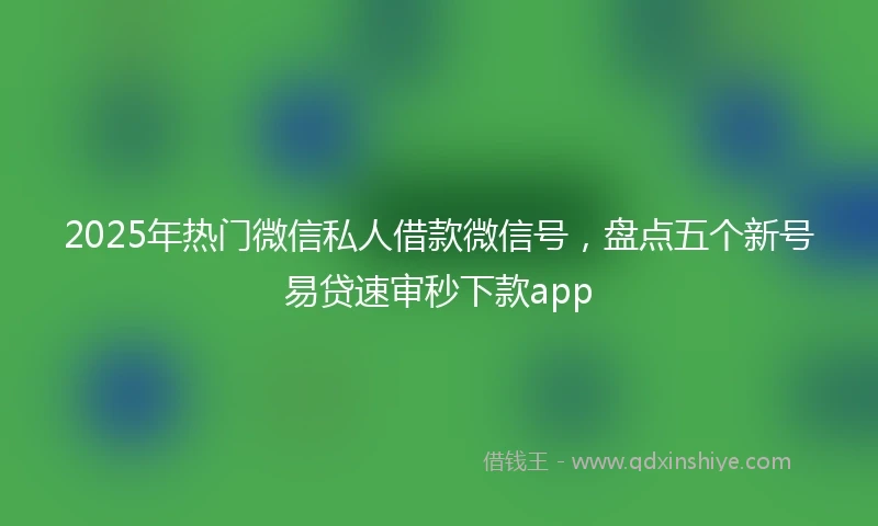 2025年热门微信私人借款微信号，盘点五个新号易贷速审秒下款app