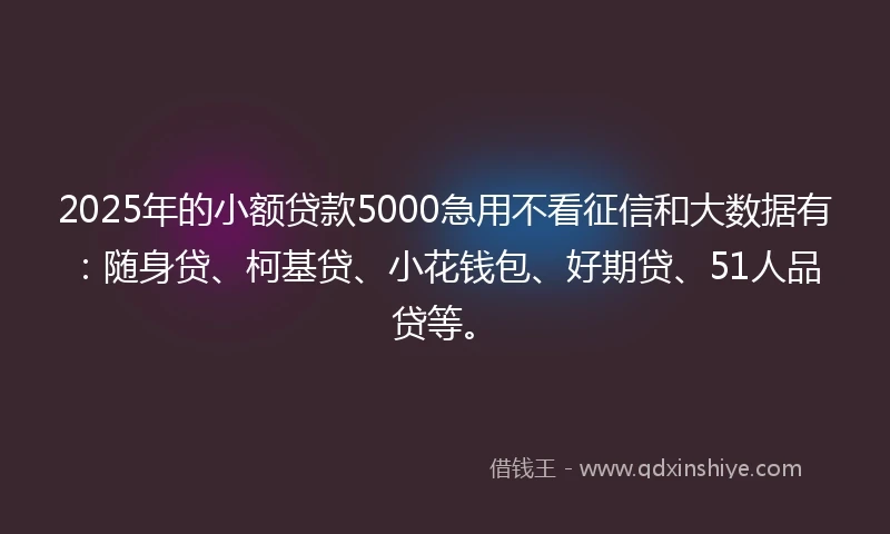 2025年的小额贷款5000急用不看征信和大数据有：随身贷、柯基贷、小花钱包、好期贷、51人品贷等。