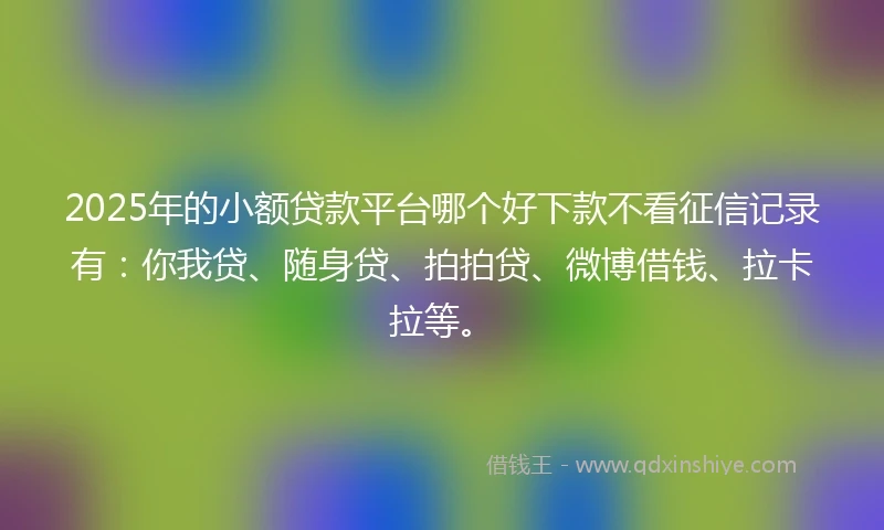 2025年的小额贷款平台哪个好下款不看征信记录有：你我贷、随身贷、拍拍贷、微博借钱、拉卡拉等。