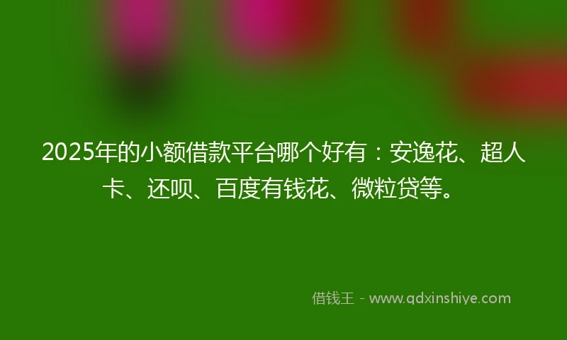 2025年的小额借款平台哪个好有：安逸花、超人卡、还呗、百度有钱花、微粒贷等。