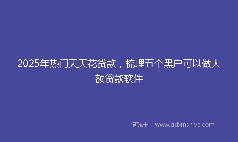 2025年热门天天花贷款，梳理五个黑户可以做大额贷款软件
