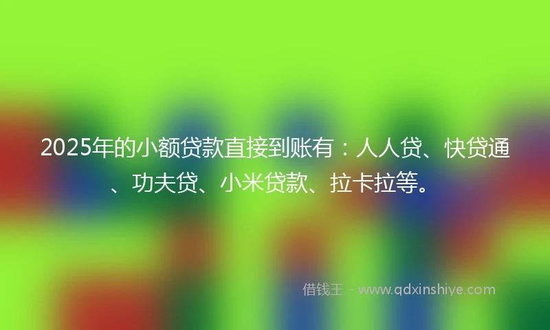 2025年的小额贷款直接到账有：人人贷、快贷通、功夫贷、小米贷款、拉卡拉等。
