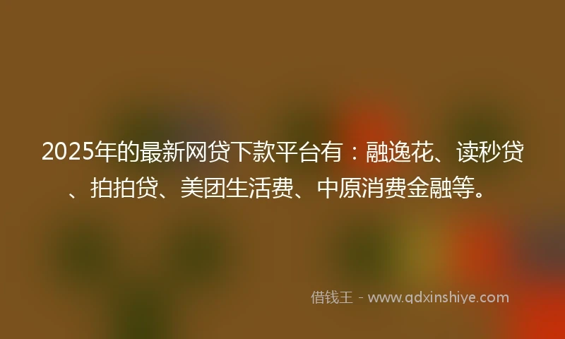 2025年的最新网贷下款平台有：融逸花、读秒贷、拍拍贷、美团生活费、中原消费金融等。