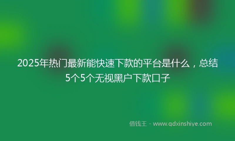 2025年热门最新能快速下款的平台是什么，总结5个5个无视黑户下款口子