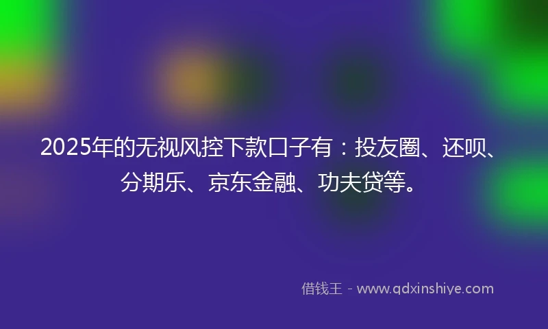 2025年的无视风控下款口子有：投友圈、还呗、分期乐、京东金融、功夫贷等。