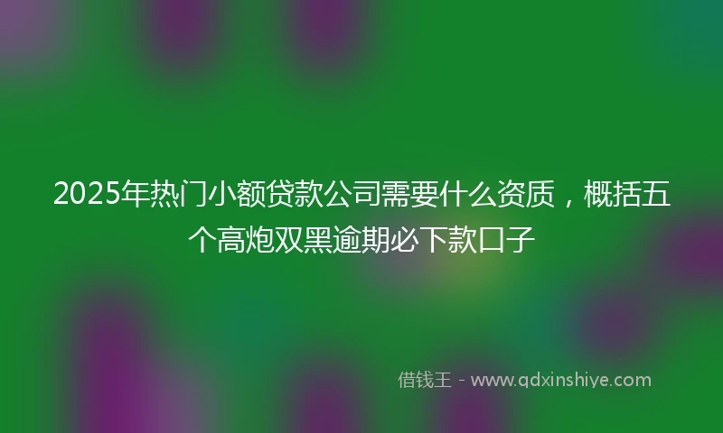 2025年热门小额贷款公司需要什么资质，概括五个高炮双黑逾期必下款口子