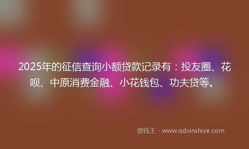 2025年的征信查询小额贷款记录有：投友圈、花呗、中原消费金融、小花钱包、功夫贷等。