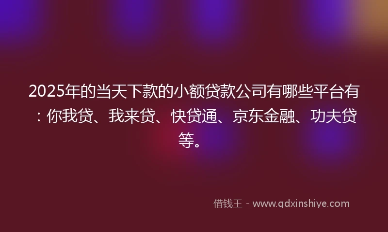 2025年的当天下款的小额贷款公司有哪些平台有：你我贷、我来贷、快贷通、京东金融、功夫贷等。