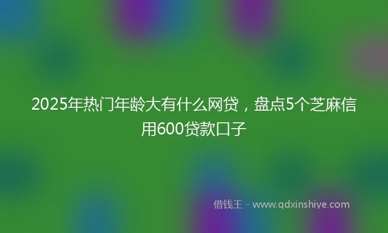 2025年热门年龄大有什么网贷，盘点5个芝麻信用600贷款口子