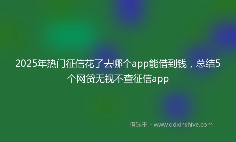2025年热门征信花了去哪个app能借到钱，总结5个网贷无视不查征信app