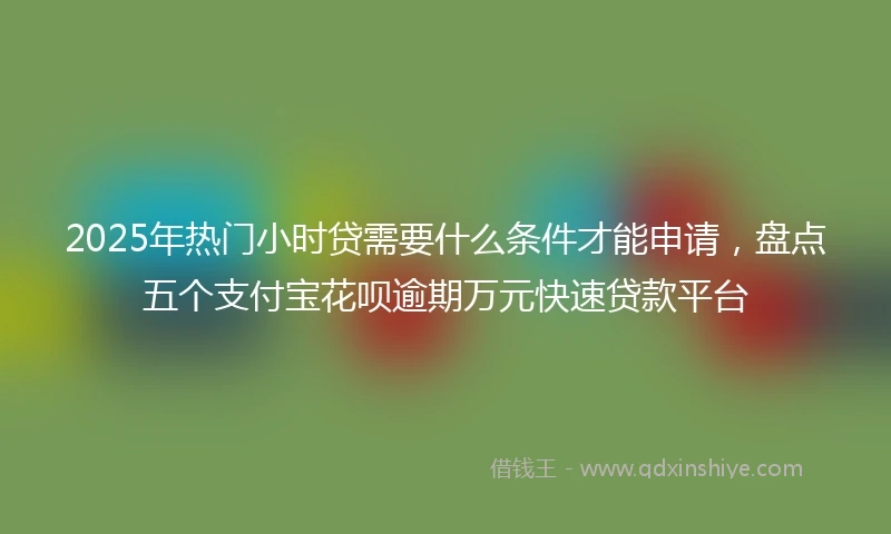 2025年热门小时贷需要什么条件才能申请，盘点五个支付宝花呗逾期万元快速贷款平台