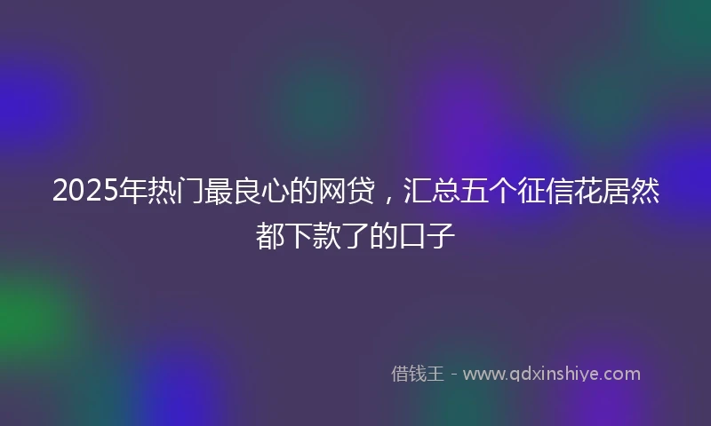 2025年热门最良心的网贷，汇总五个征信花居然都下款了的口子