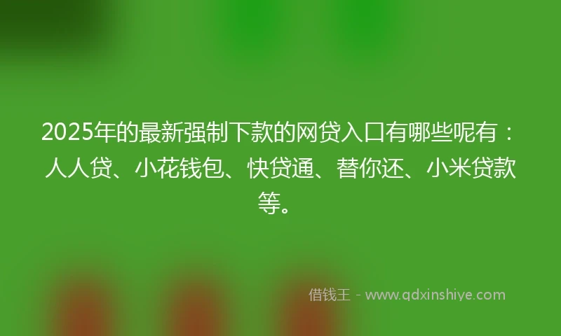 2025年的最新强制下款的网贷入口有哪些呢有：人人贷、小花钱包、快贷通、替你还、小米贷款等。