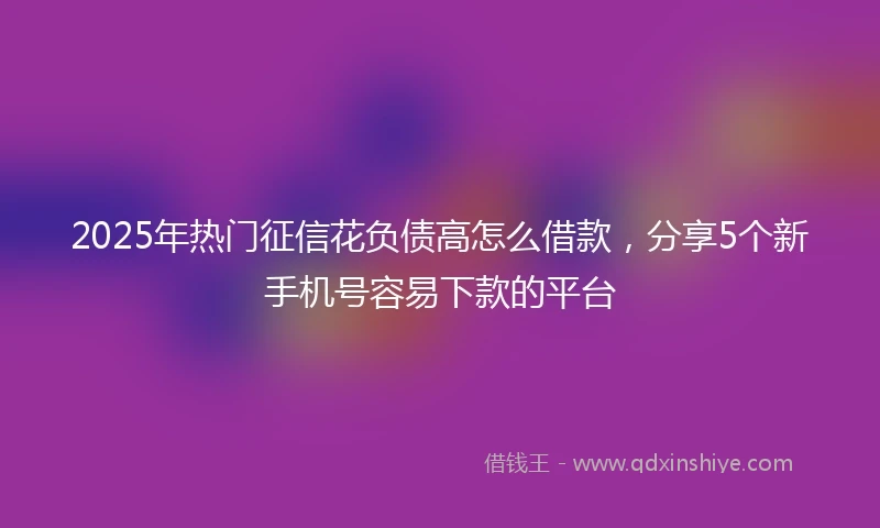 2025年热门征信花负债高怎么借款，分享5个新手机号容易下款的平台