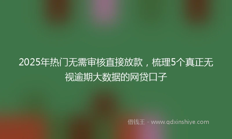 2025年热门无需审核直接放款，梳理5个真正无视逾期大数据的网贷口子