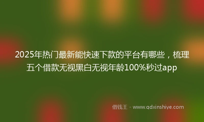 2025年热门最新能快速下款的平台有哪些，梳理五个借款无视黑白无视年龄100%秒过app