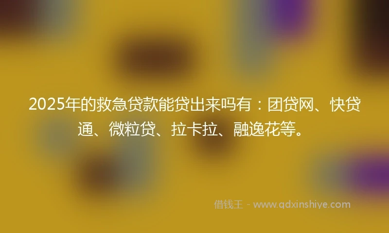 2025年的救急贷款能贷出来吗有：团贷网、快贷通、微粒贷、拉卡拉、融逸花等。
