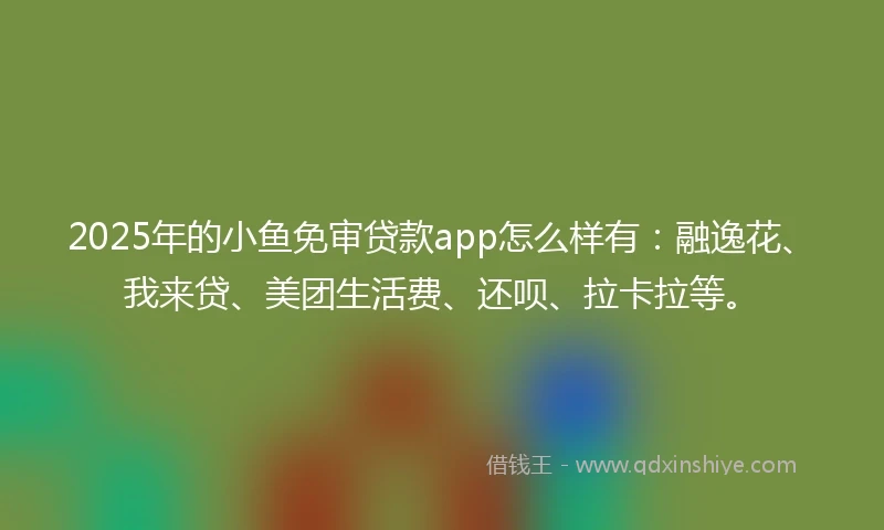 2025年的小鱼免审贷款app怎么样有：融逸花、我来贷、美团生活费、还呗、拉卡拉等。