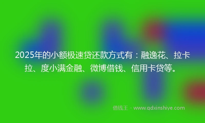 2025年的小额极速贷还款方式有：融逸花、拉卡拉、度小满金融、微博借钱、信用卡贷等。