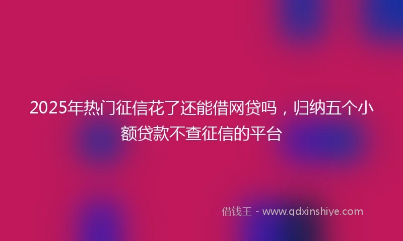 2025年热门征信花了还能借网贷吗，归纳五个小额贷款不查征信的平台