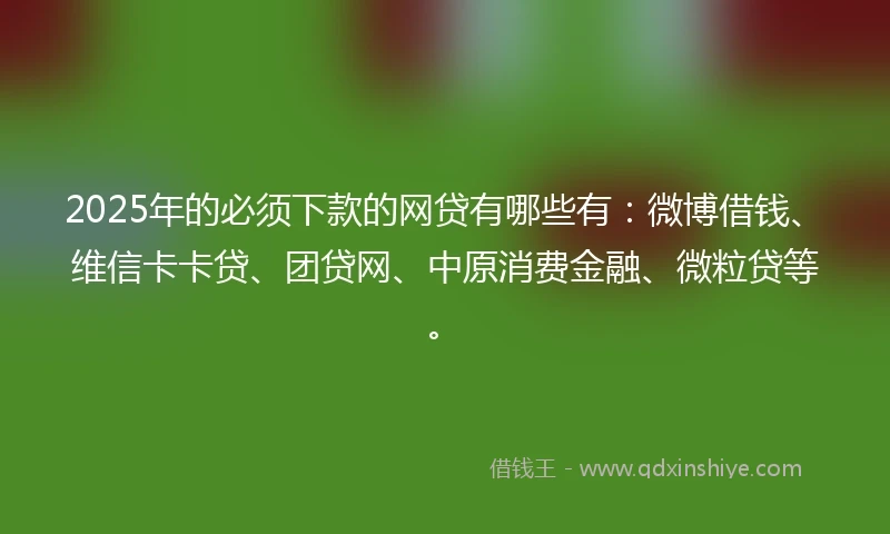 2025年的必须下款的网贷有哪些有：微博借钱、维信卡卡贷、团贷网、中原消费金融、微粒贷等。