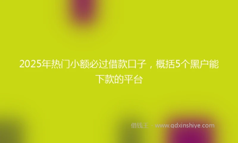 2025年热门小额必过借款口子，概括5个黑户能下款的平台