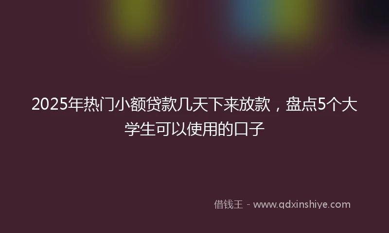 2025年热门小额贷款几天下来放款，盘点5个大学生可以使用的口子