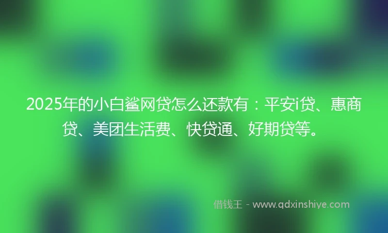 2025年的小白鲨网贷怎么还款有：平安i贷、惠商贷、美团生活费、快贷通、好期贷等。