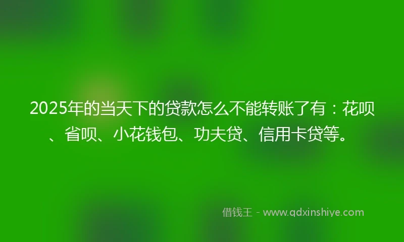 2025年的当天下的贷款怎么不能转账了有：花呗、省呗、小花钱包、功夫贷、信用卡贷等。
