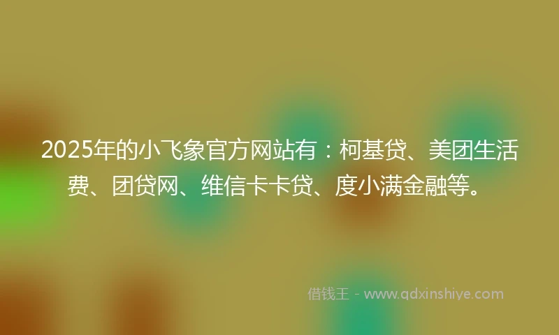 2025年的小飞象官方网站有：柯基贷、美团生活费、团贷网、维信卡卡贷、度小满金融等。