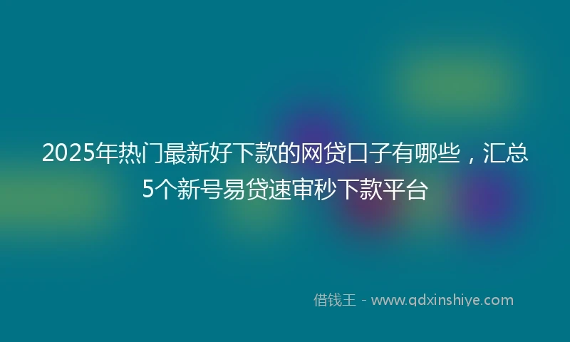2025年热门最新好下款的网贷口子有哪些，汇总5个新号易贷速审秒下款平台