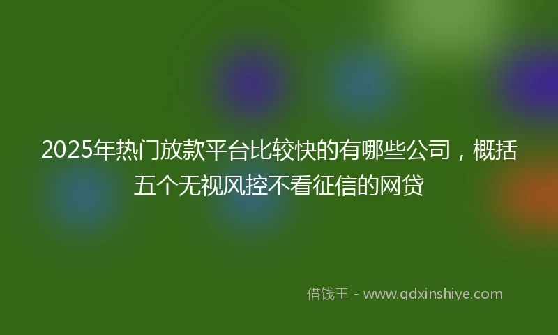 2025年热门放款平台比较快的有哪些公司，概括五个无视风控不看征信的网贷