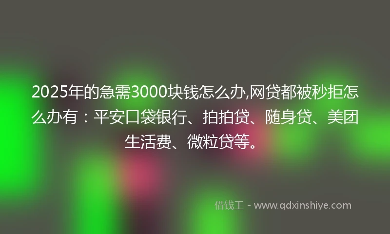 2025年的急需3000块钱怎么办,网贷都被秒拒怎么办有：平安口袋银行、拍拍贷、随身贷、美团生活费、微粒贷等。