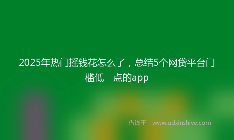 2025年热门摇钱花怎么了，总结5个网贷平台门槛低一点的app