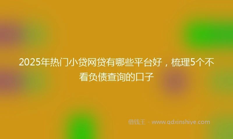 2025年热门小贷网贷有哪些平台好，梳理5个不看负债查询的口子