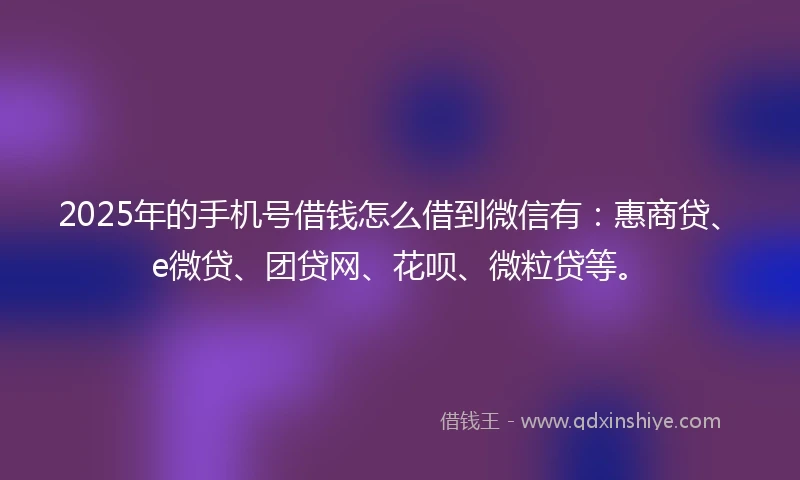 2025年的手机号借钱怎么借到微信有：惠商贷、e微贷、团贷网、花呗、微粒贷等。