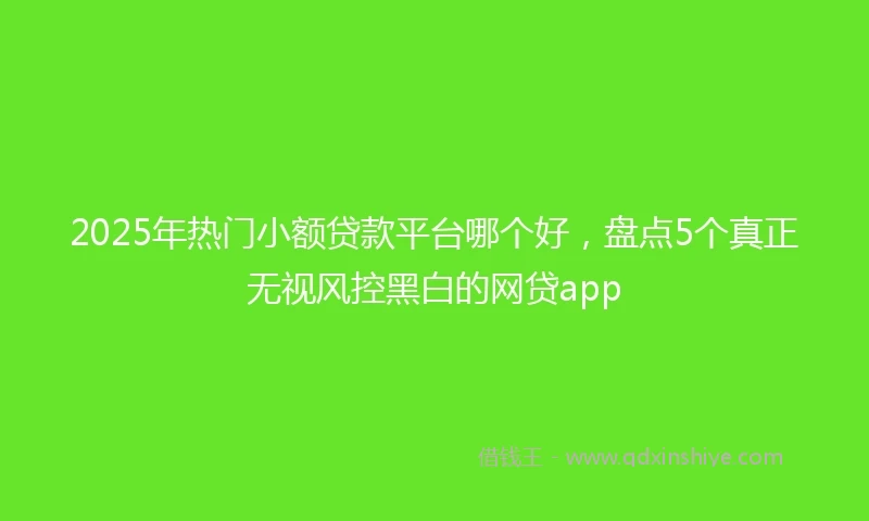 2025年热门小额贷款平台哪个好，盘点5个真正无视风控黑白的网贷app