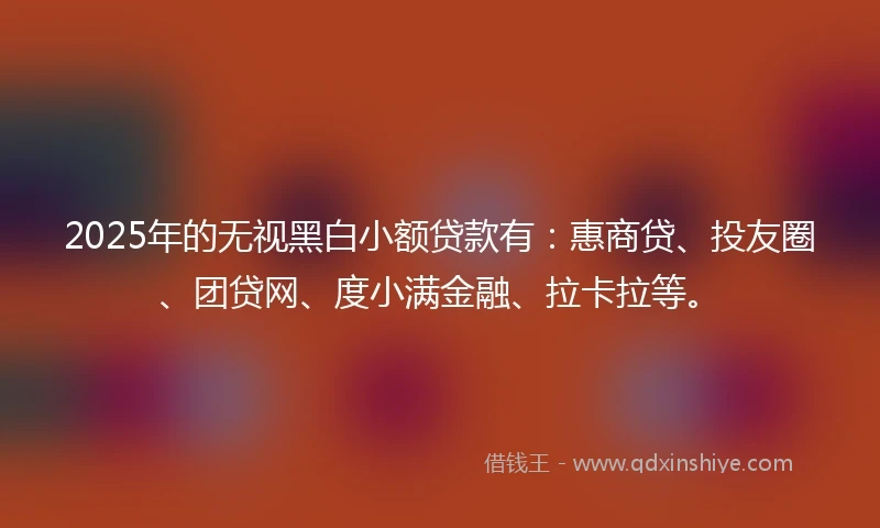 2025年的无视黑白小额贷款有：惠商贷、投友圈、团贷网、度小满金融、拉卡拉等。